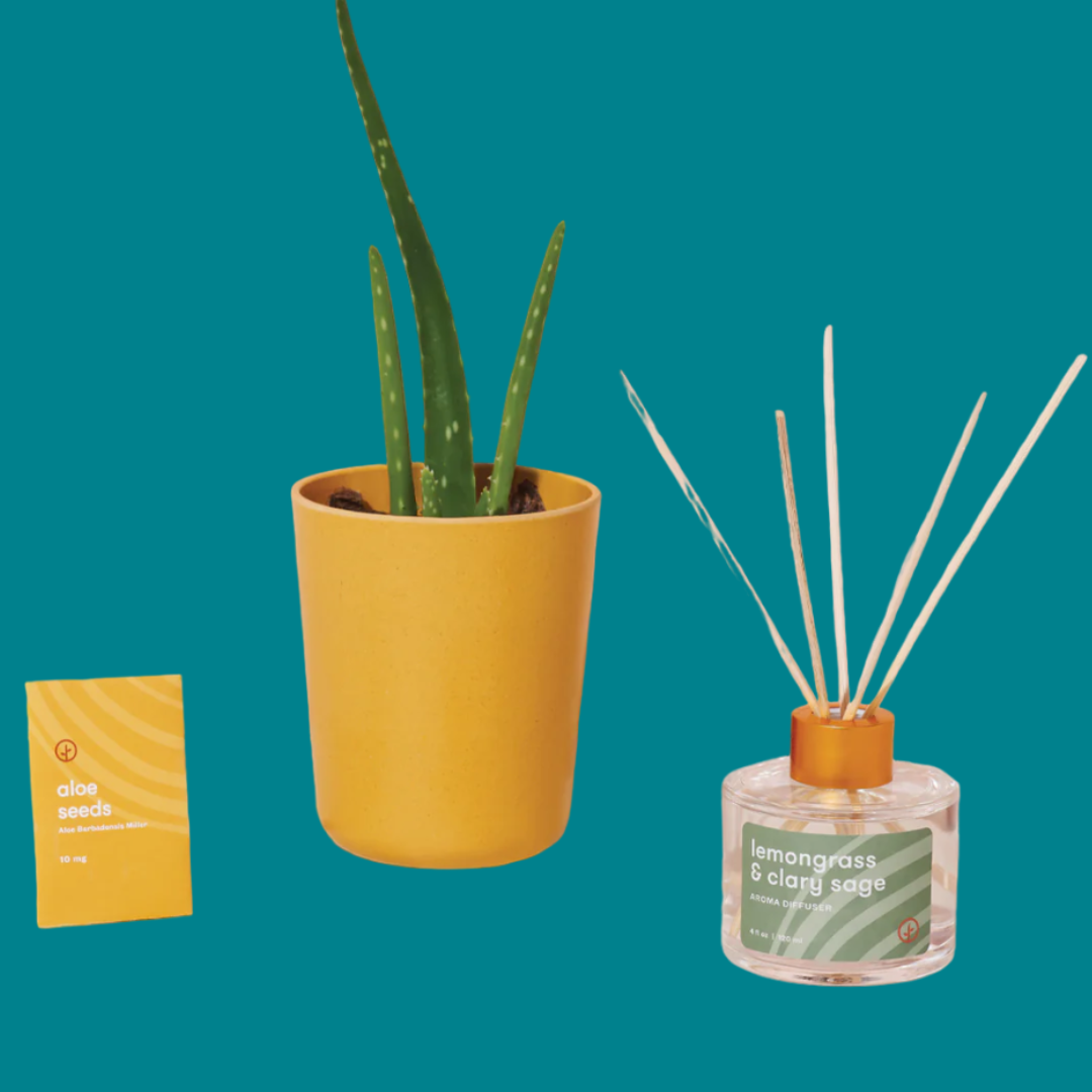 Find Balance - Grounding Aloe Kit