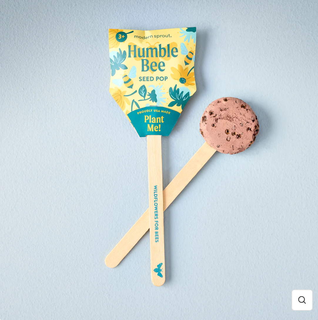 Seeded Lollipops