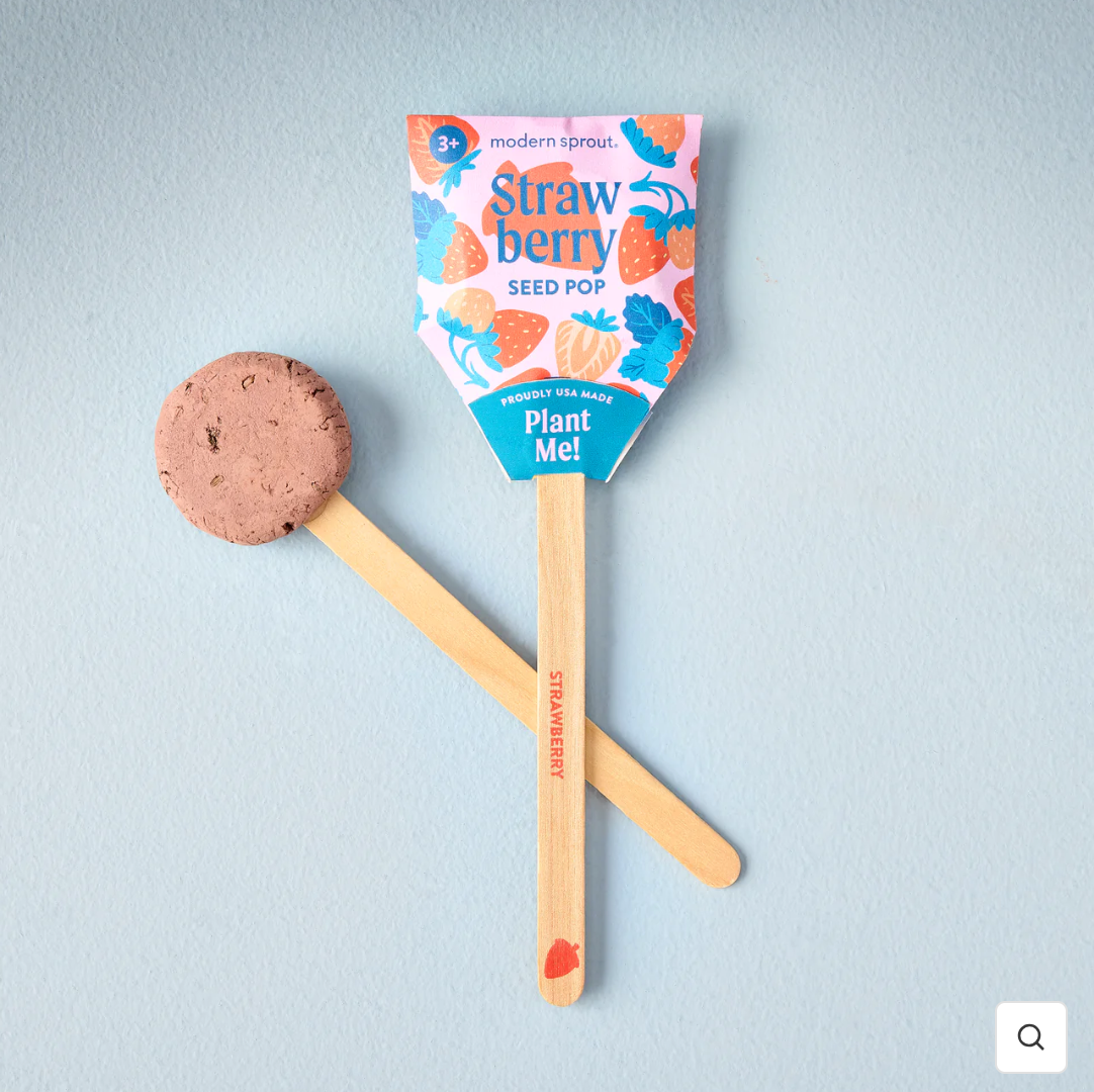 Seeded Lollipops