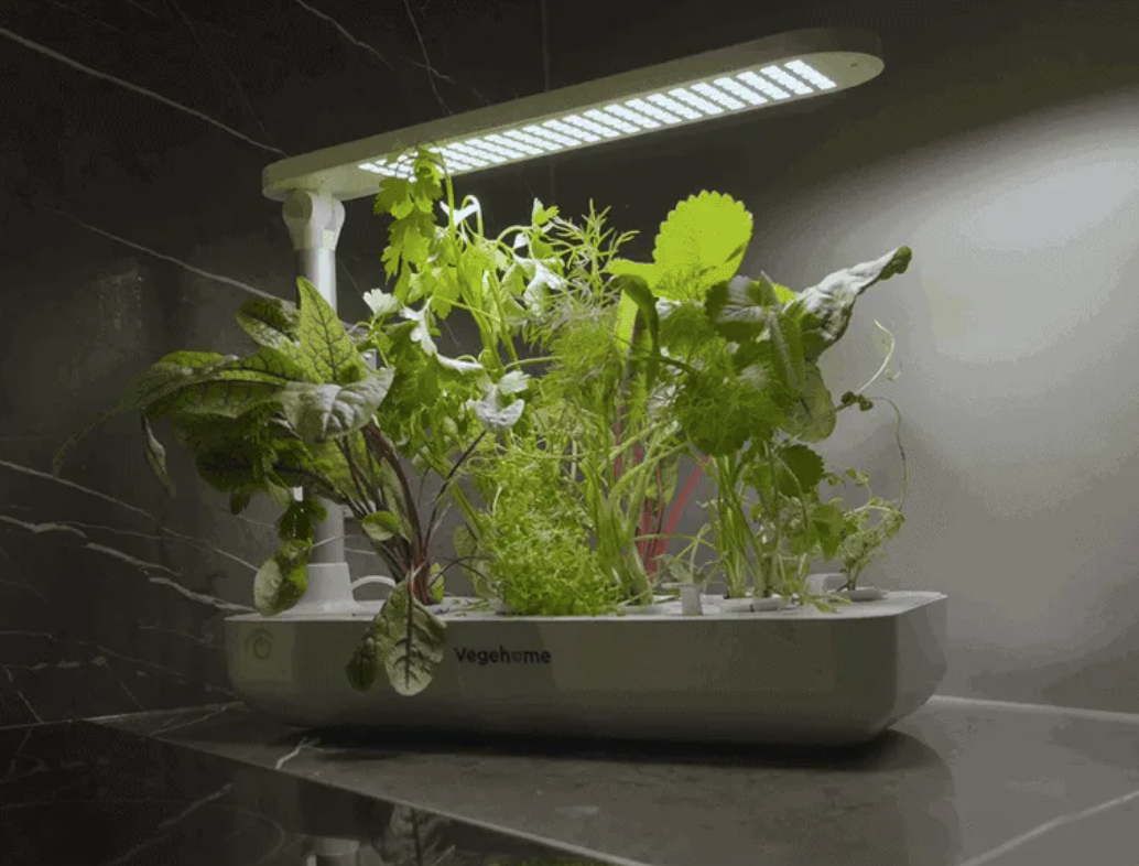 Vegehome - Garden