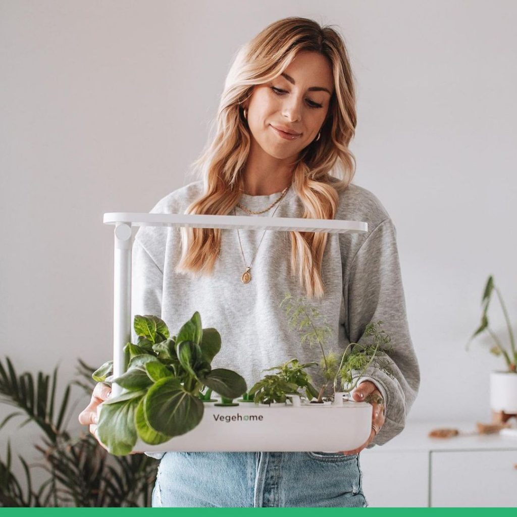 Vegehome - Garden