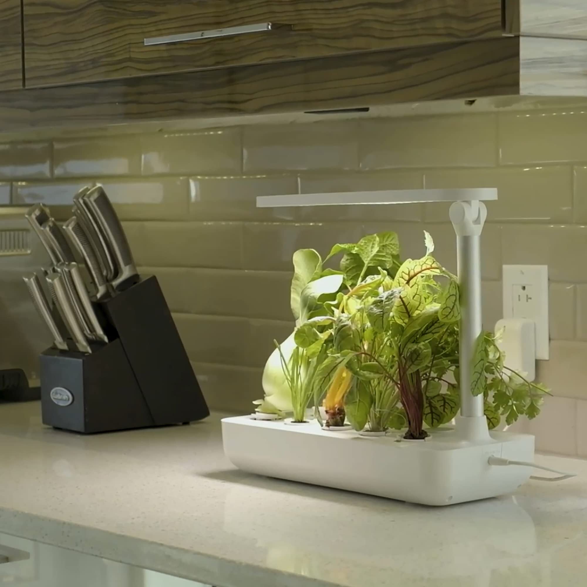 Vegehome - Garden