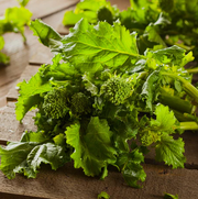 Rapini Spring Raab