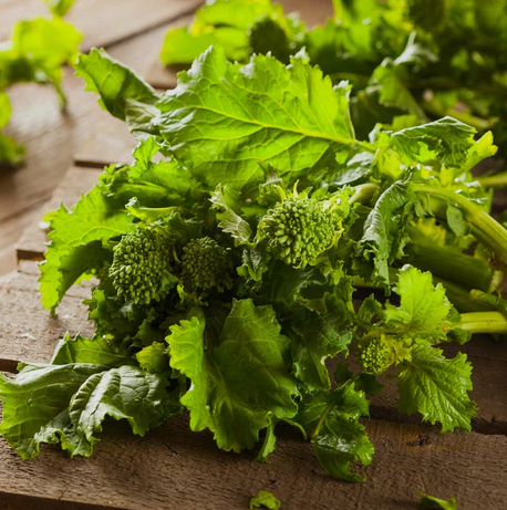 Rapini Spring Raab