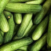 Cucumber