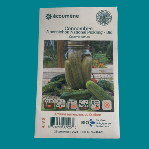 Cucumber