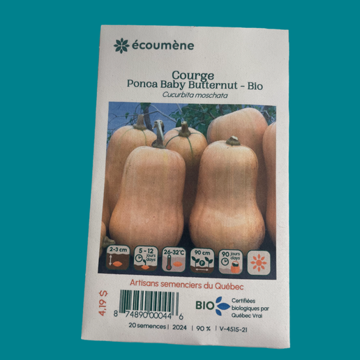 Squash