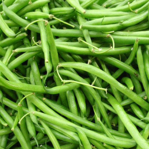 Bean