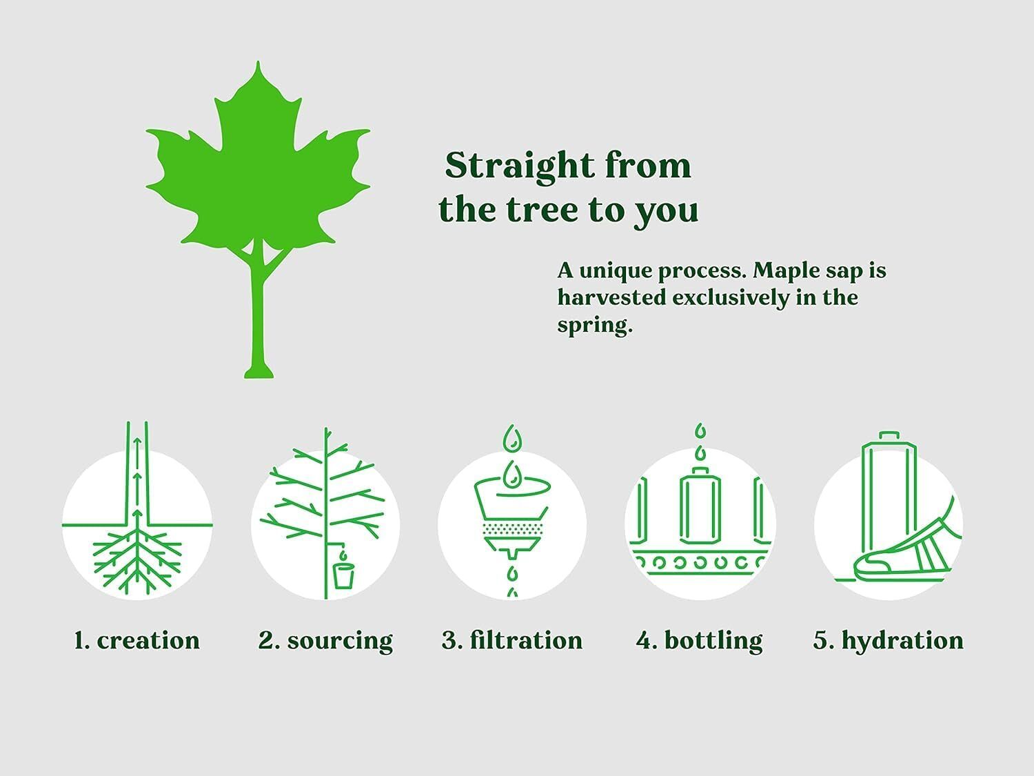 Maple3 (Organic Maple Water) 500 mL