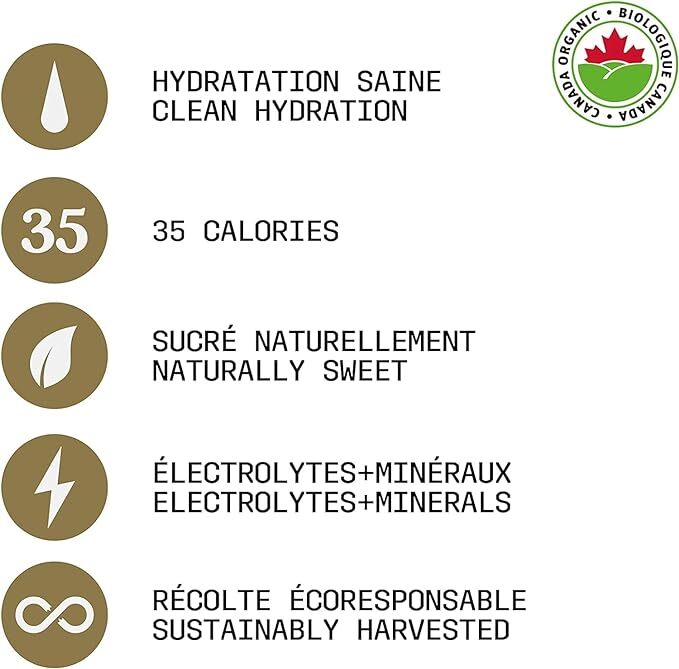 Maple3 (Organic Maple Water) 500 mL
