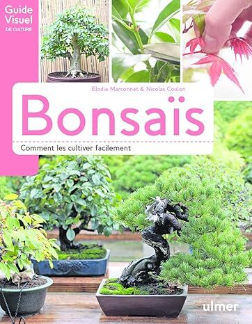 Bonsai: How to Grow Them Easily