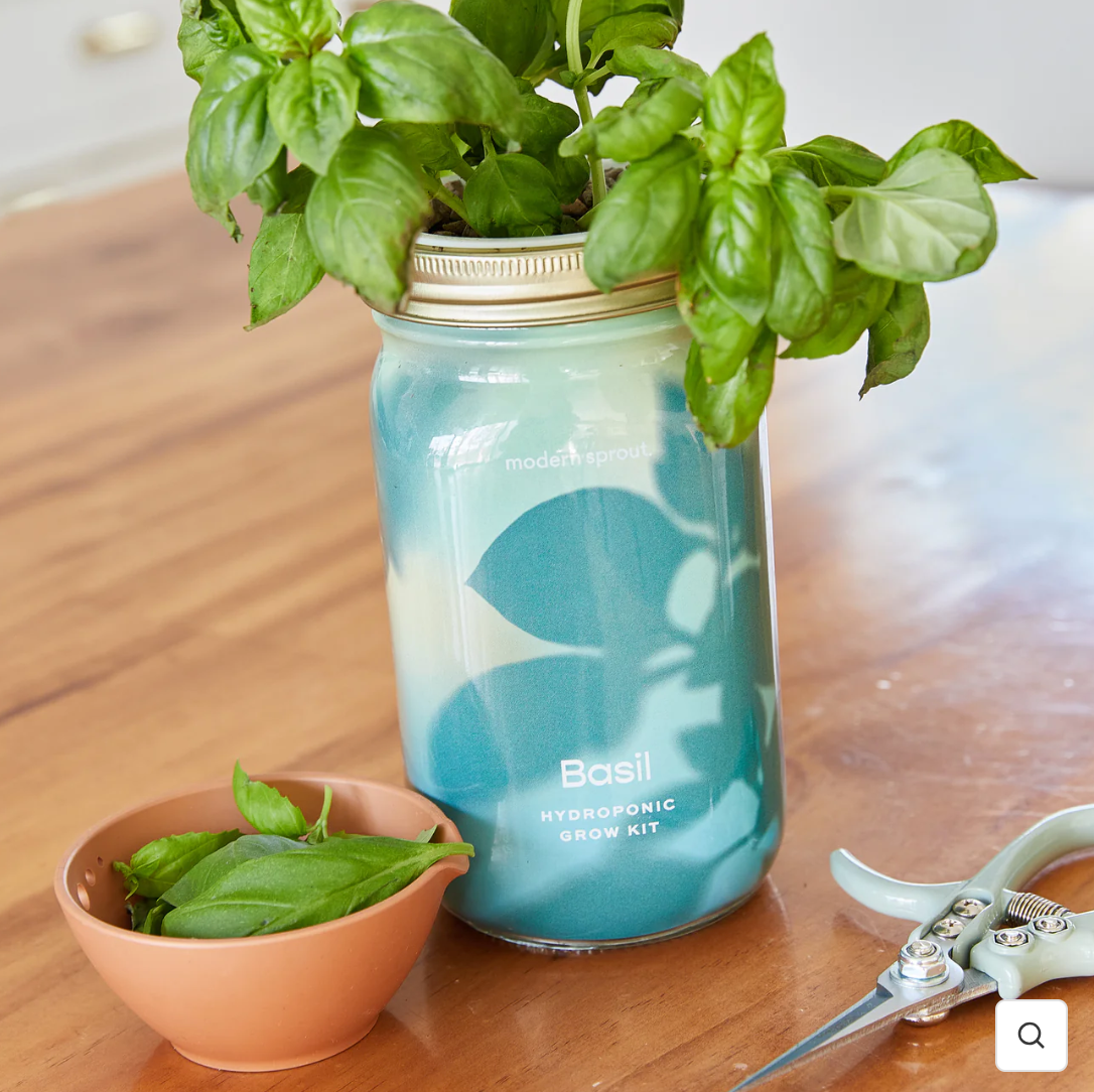 Garden pot / Garden Jar
