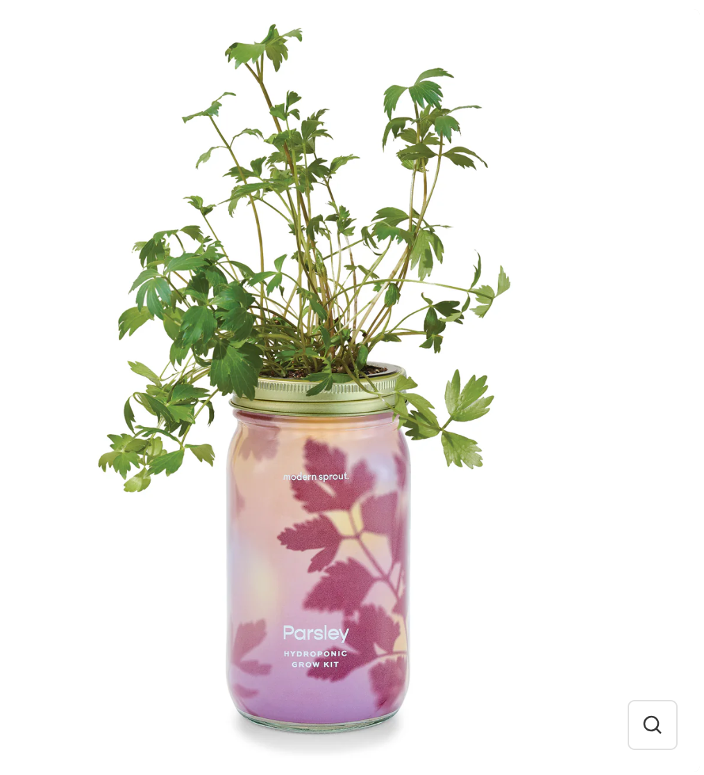 Garden pot / Garden Jar