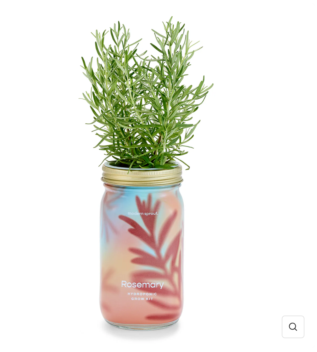 Garden pot / Garden Jar