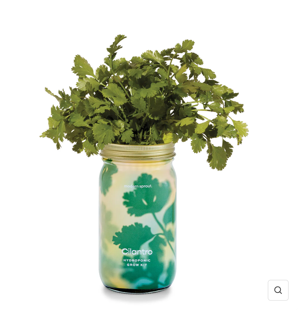 Garden pot / Garden Jar