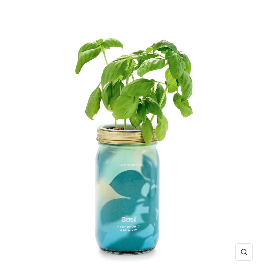 Garden pot / Garden Jar