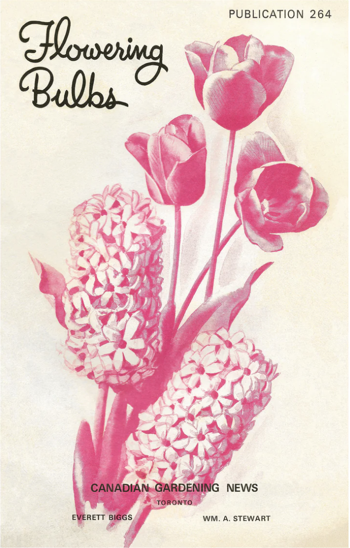 Raymond Biesinger Posters