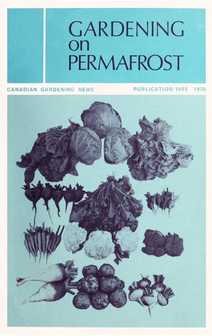 Raymond Biesinger Posters