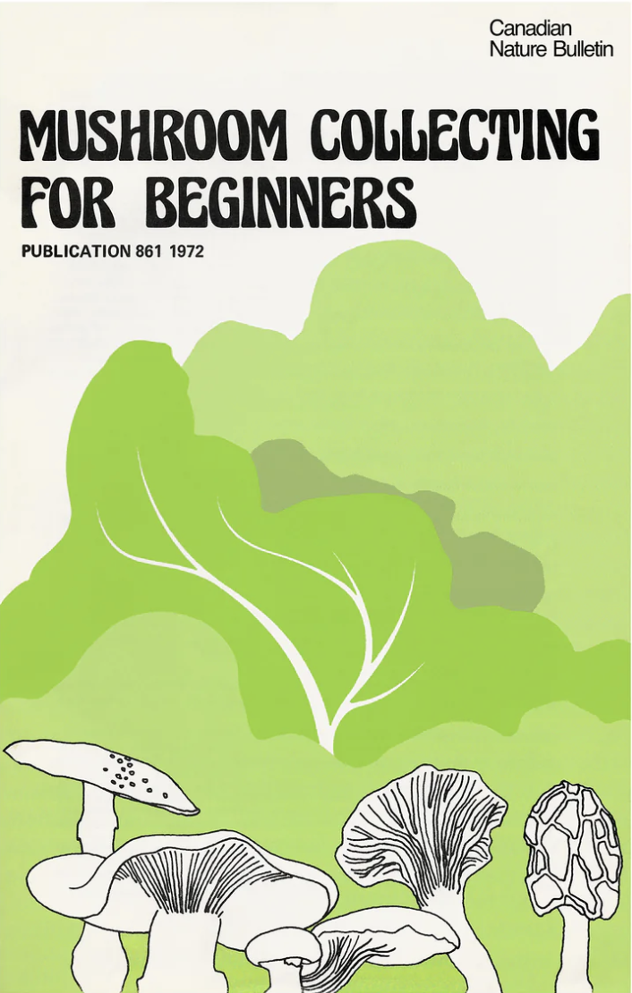 Raymond Biesinger Posters