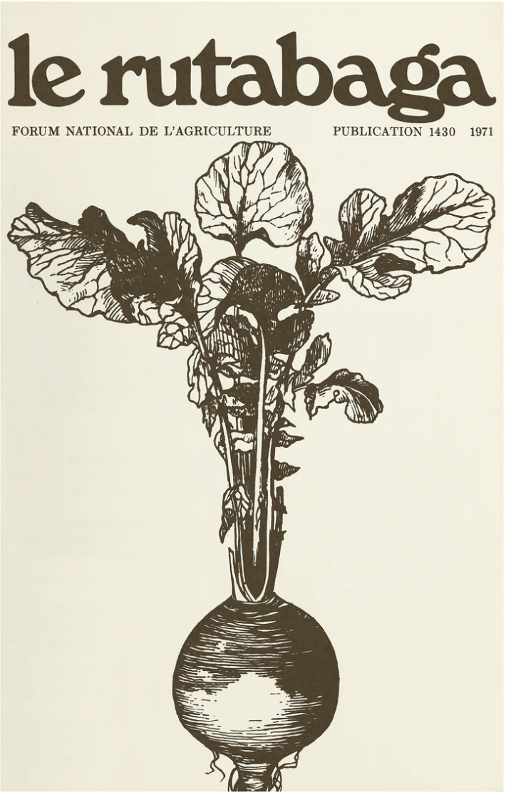 Raymond Biesinger Posters