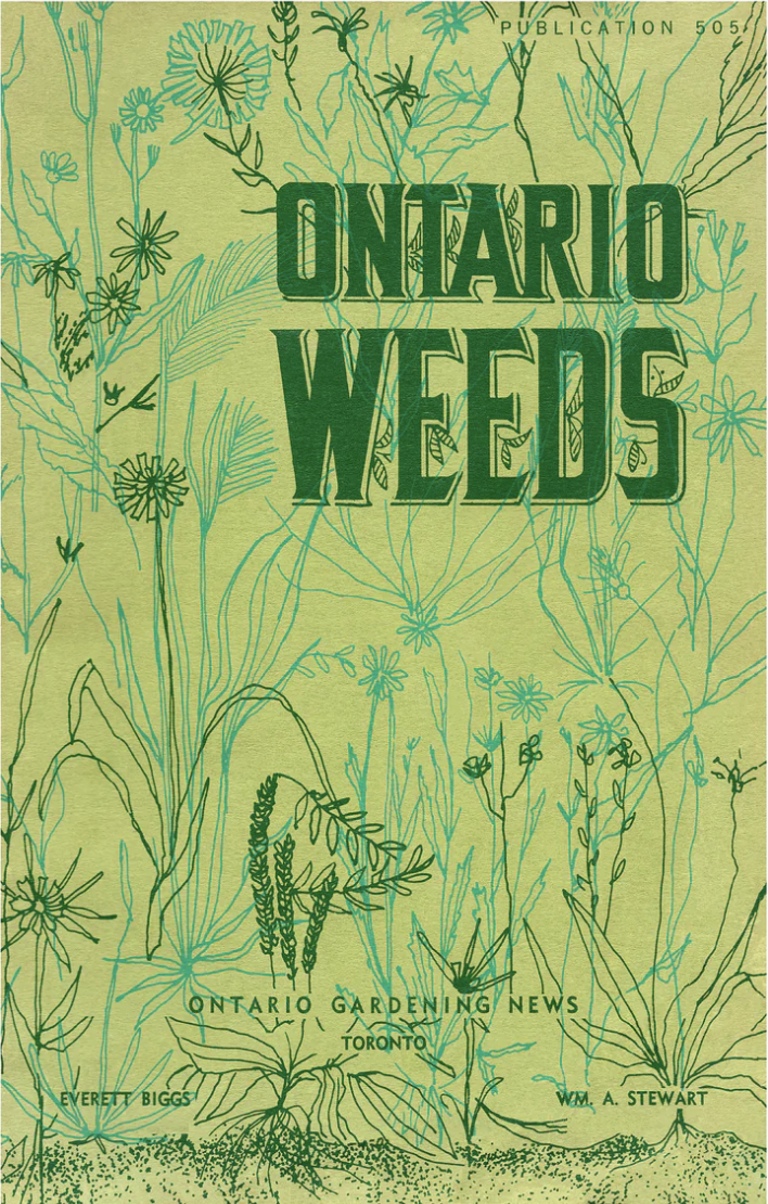 Raymond Biesinger Posters