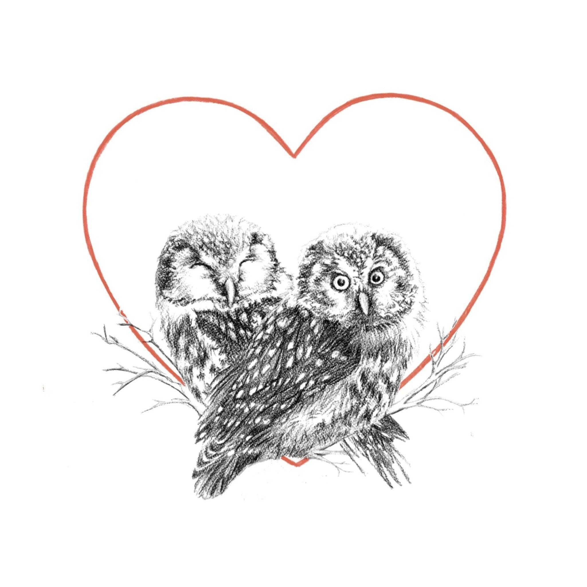 Owls and lovers card