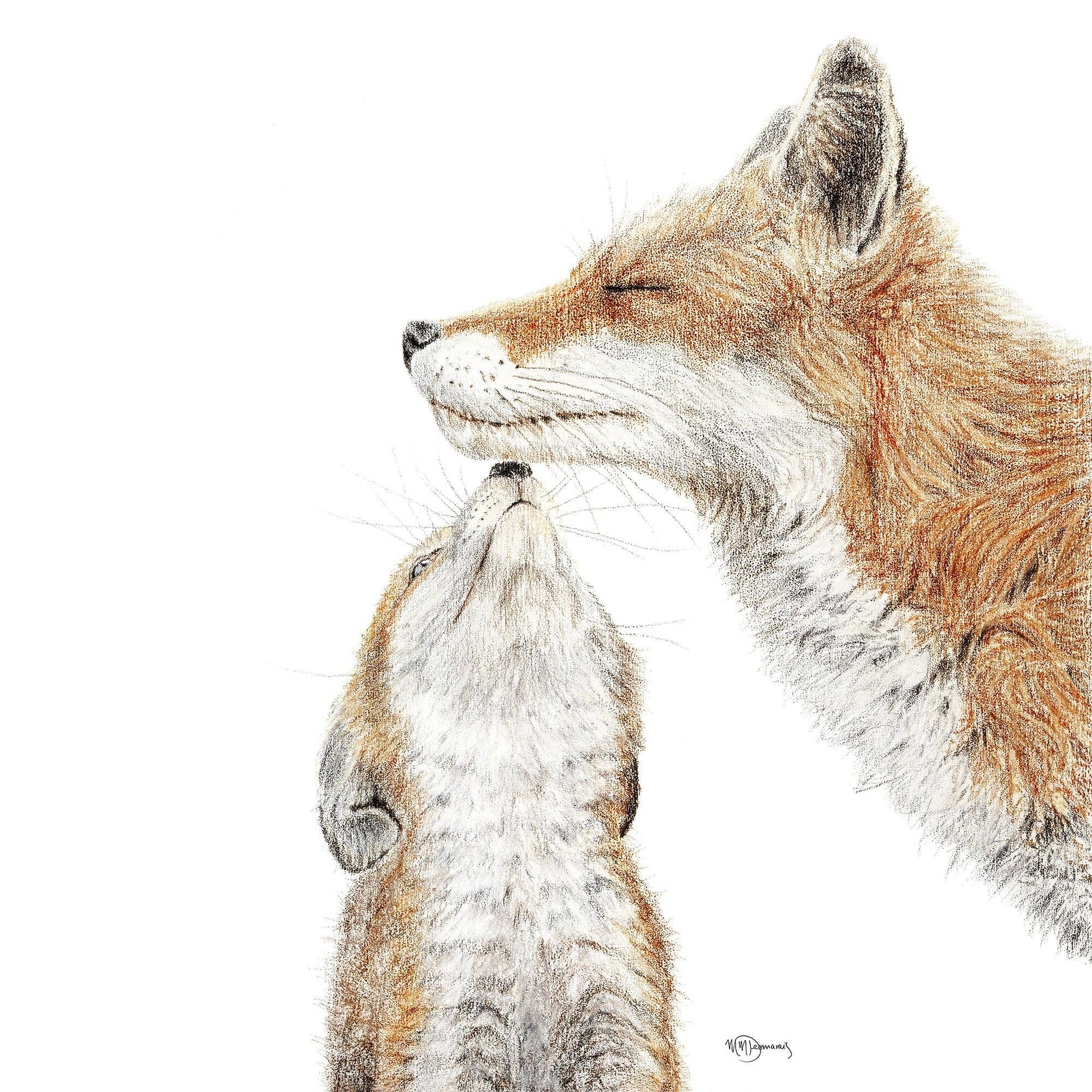 Fox Card
