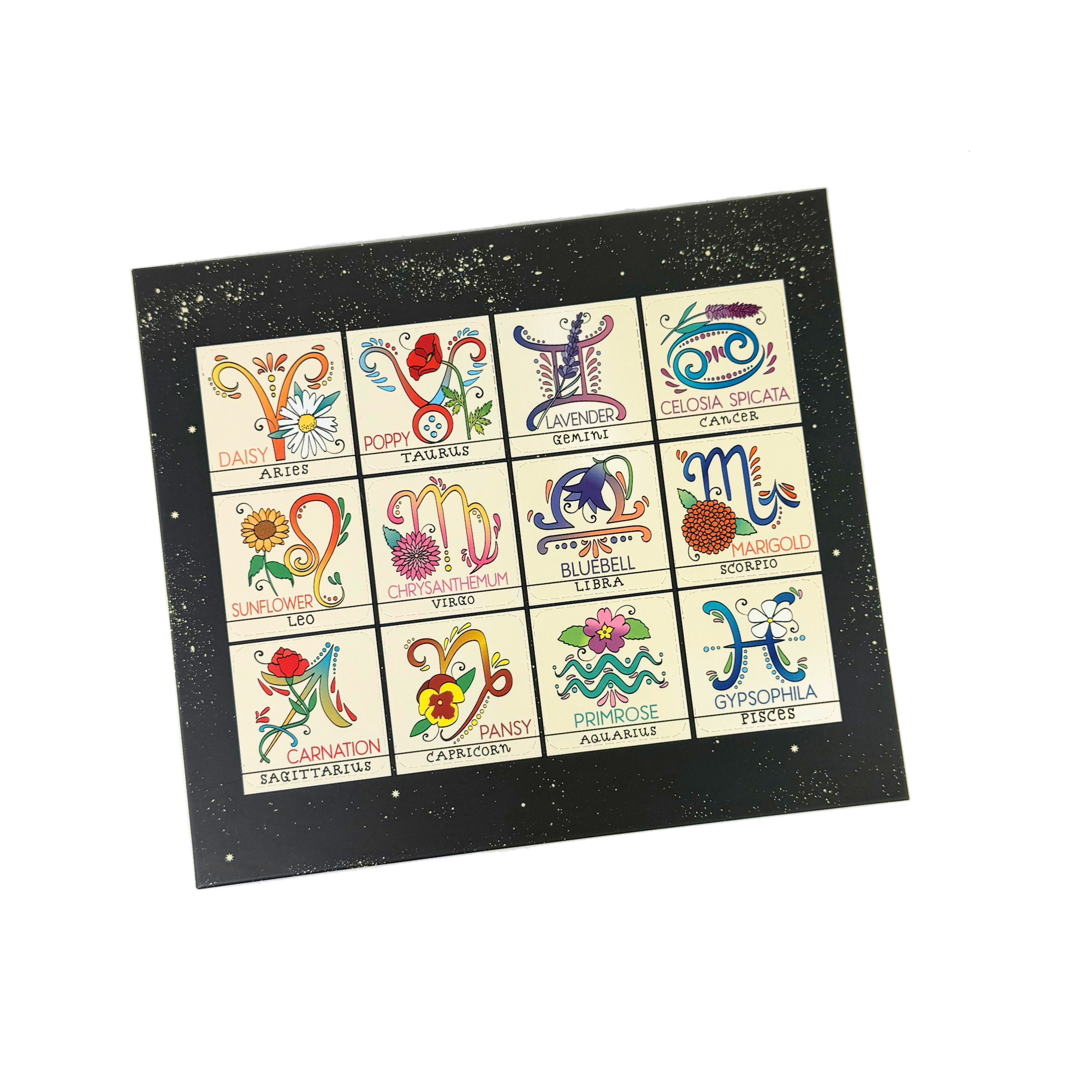 Zodiac Flower Seed Ball Flower Planting Kit