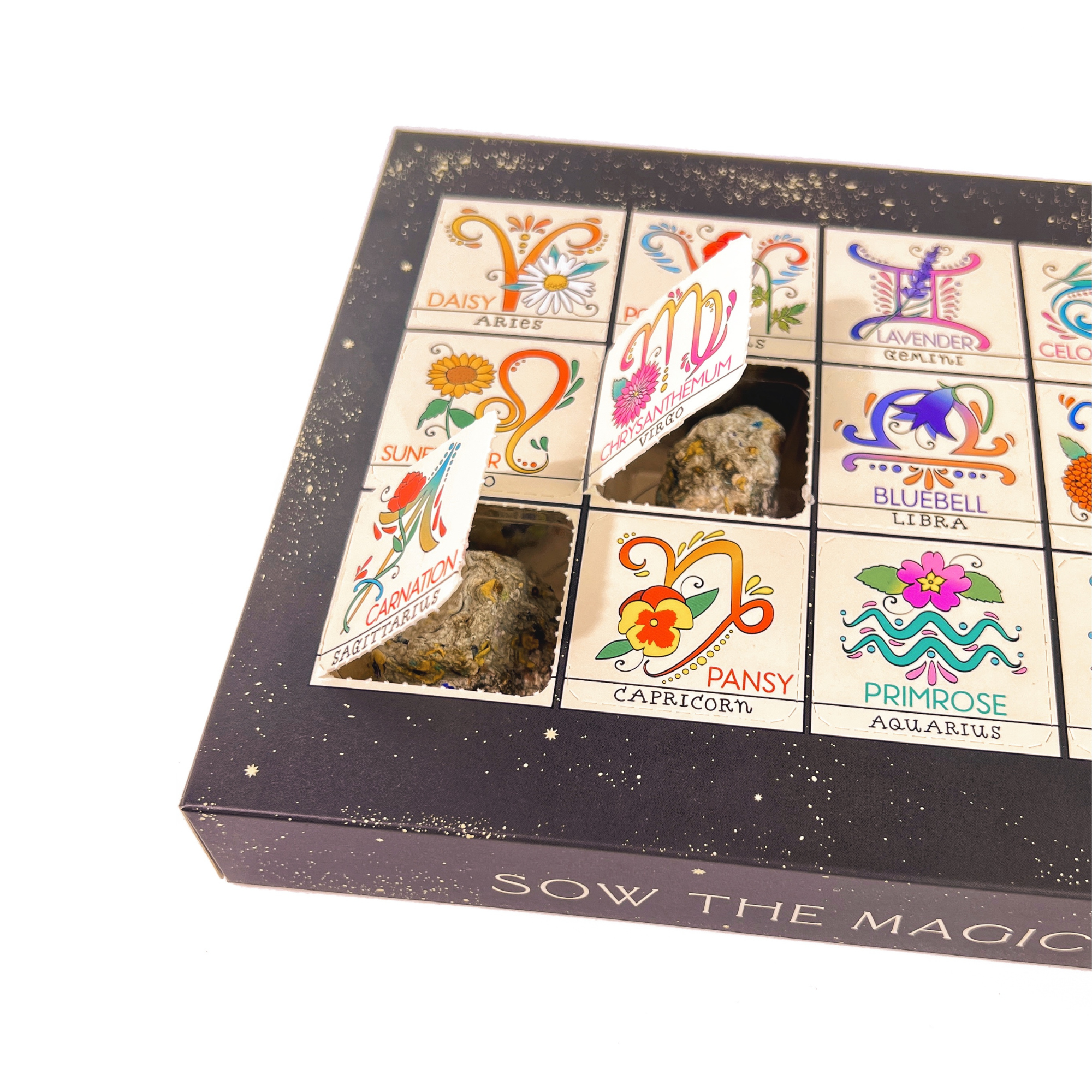 Zodiac Flower Seed Ball Flower Planting Kit