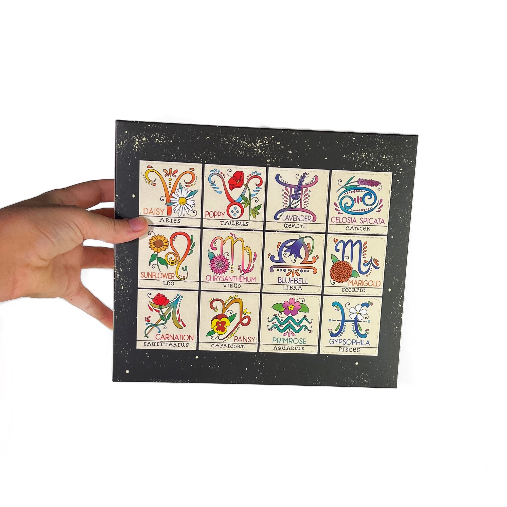 Zodiac Flower Seed Ball Flower Planting Kit