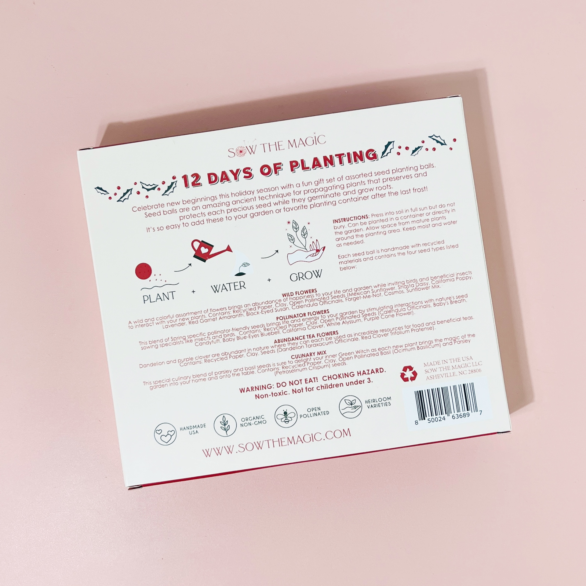 Christmas Seed Bomb Kit