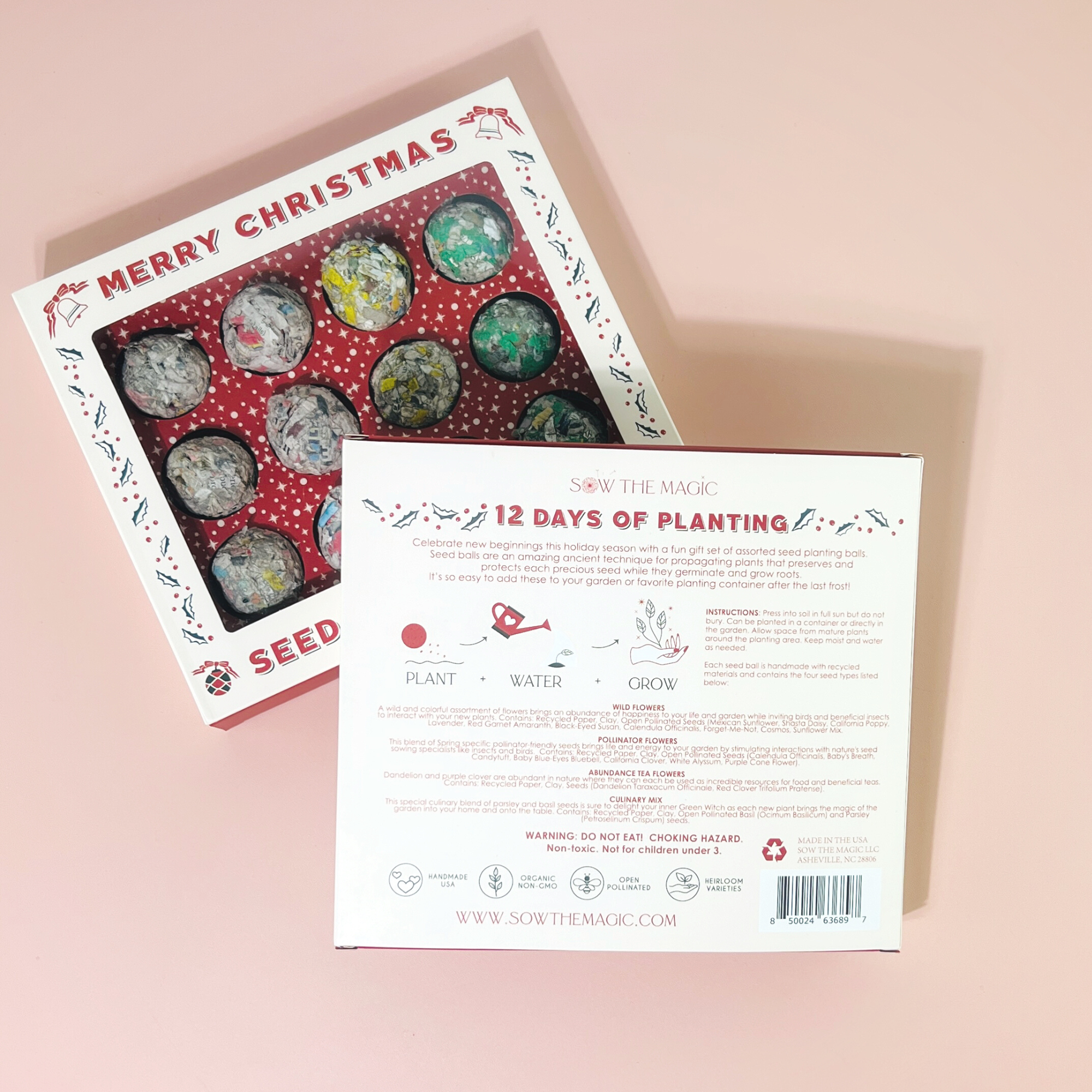 Christmas Seed Bomb Kit