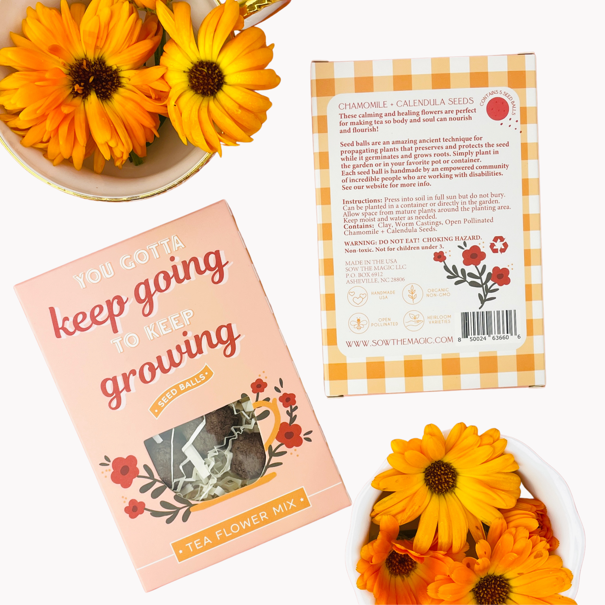 You Gotta Keep Going To Keep Tea Seed Ball Gift Box