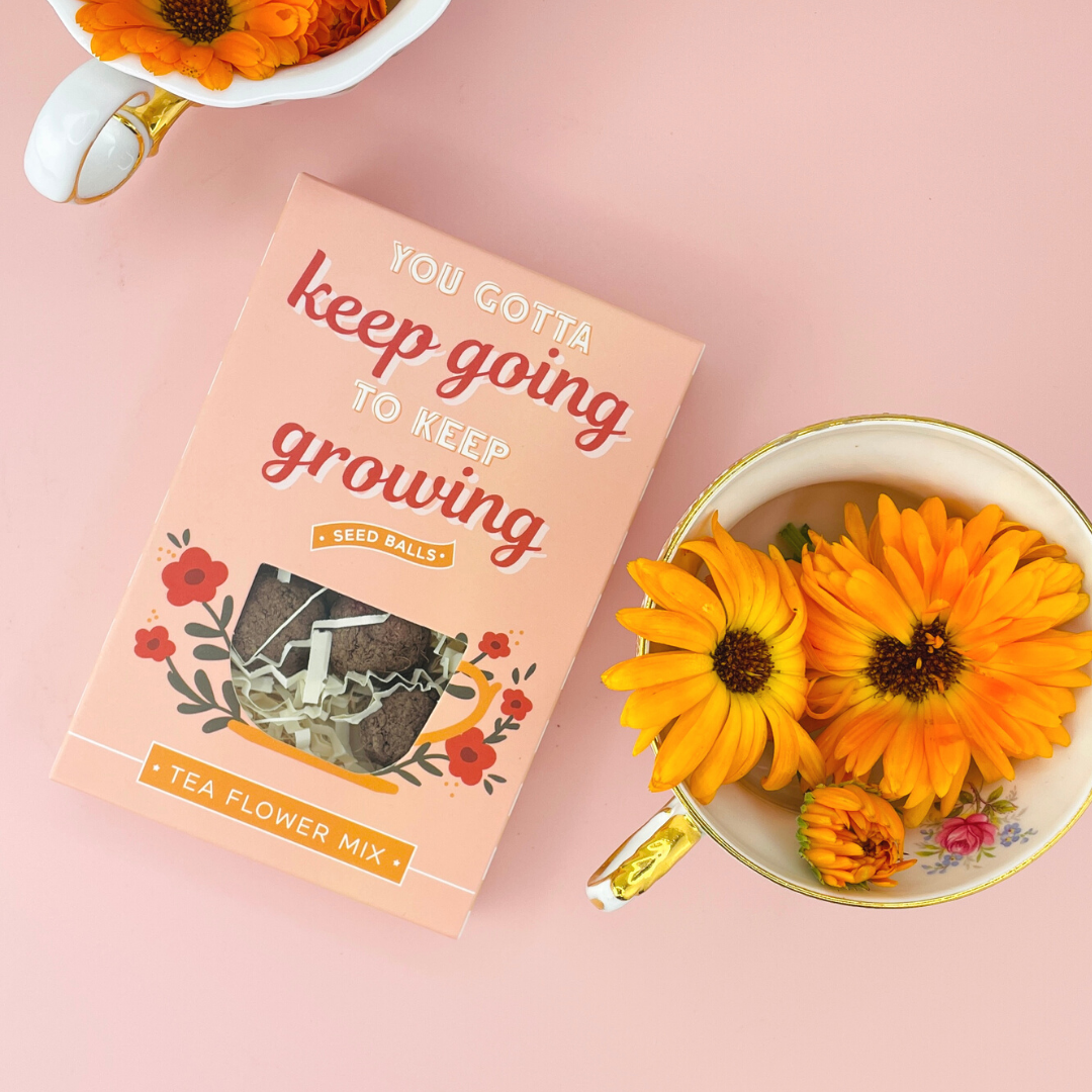 You Gotta Keep Going To Keep Tea Seed Ball Gift Box