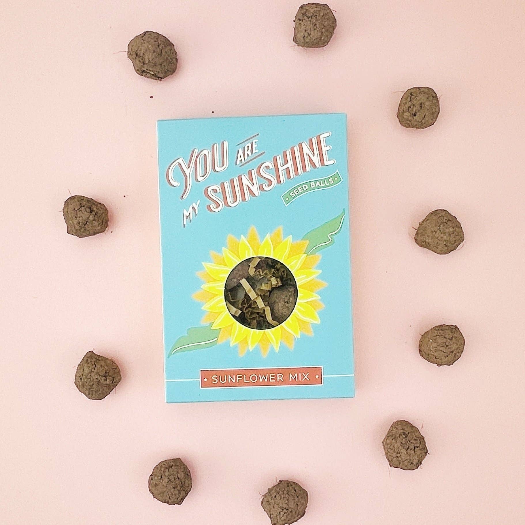 You Are My Sunshine Garden Seed Ball Gift Box
