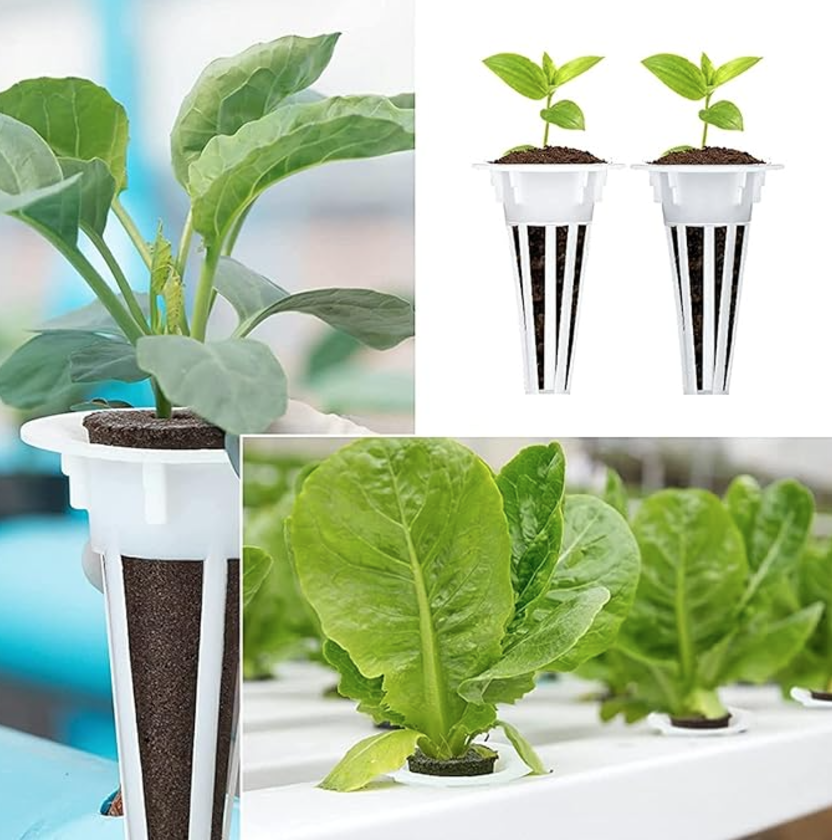 Hydroponic substrate support (individually)