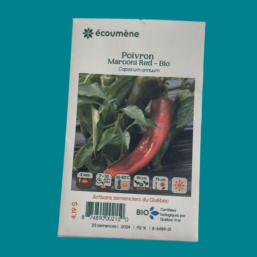 Bell pepper
