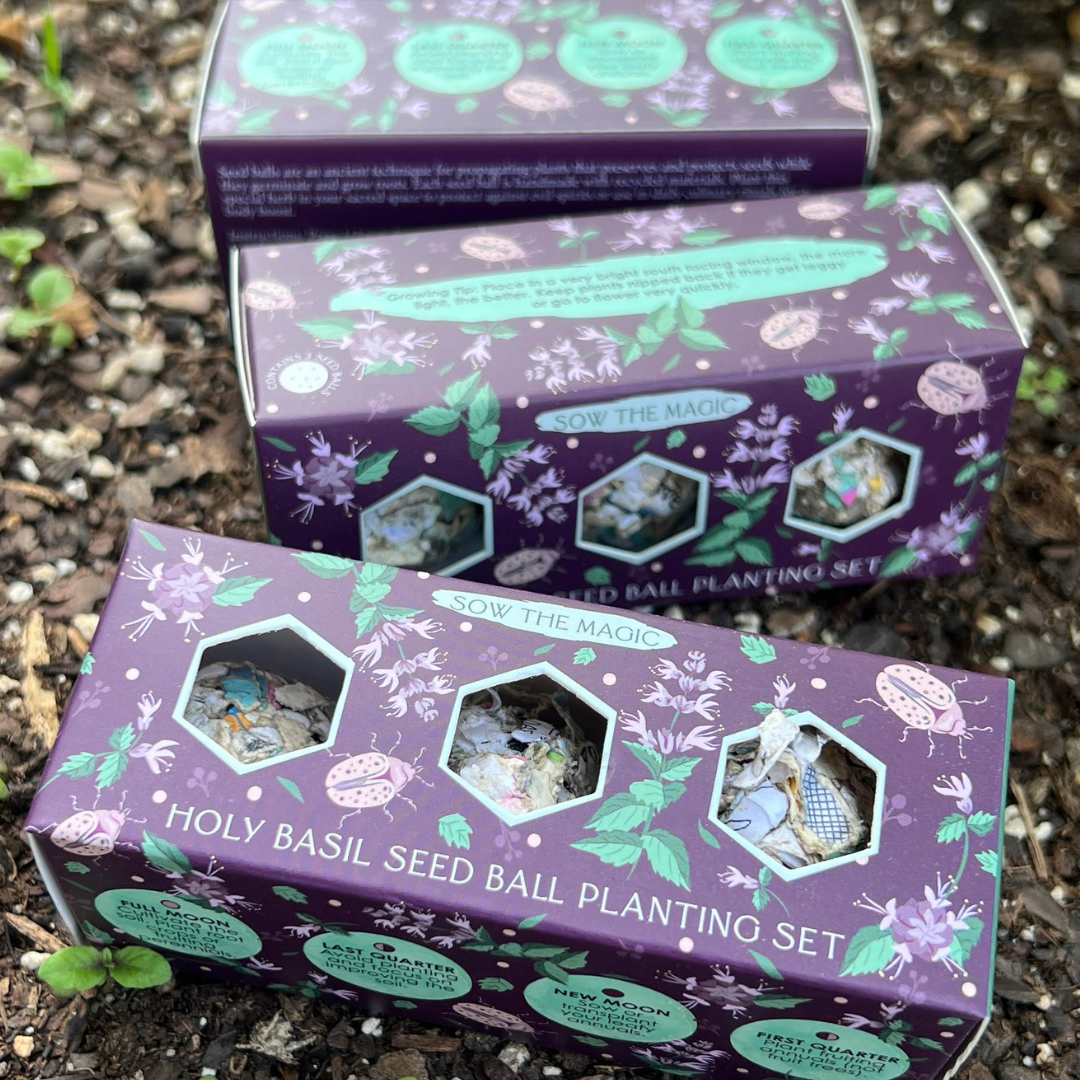 Protection (Holy Basil) Mini Seed Ball Gift Set