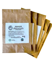 Agastache - bag with 300 seeds