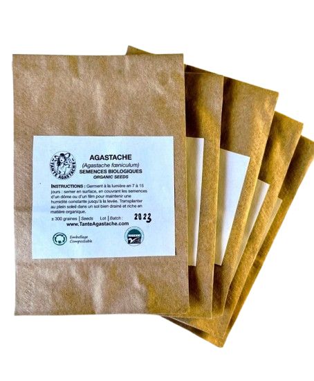 Agastache - bag with 300 seeds