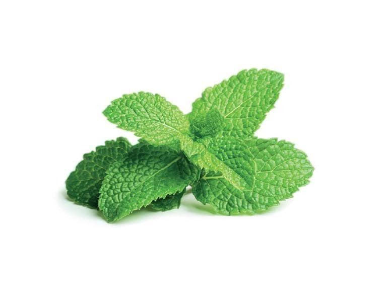 Peppermint pods