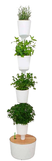 CitySens Urban Garden: indoor garden kit