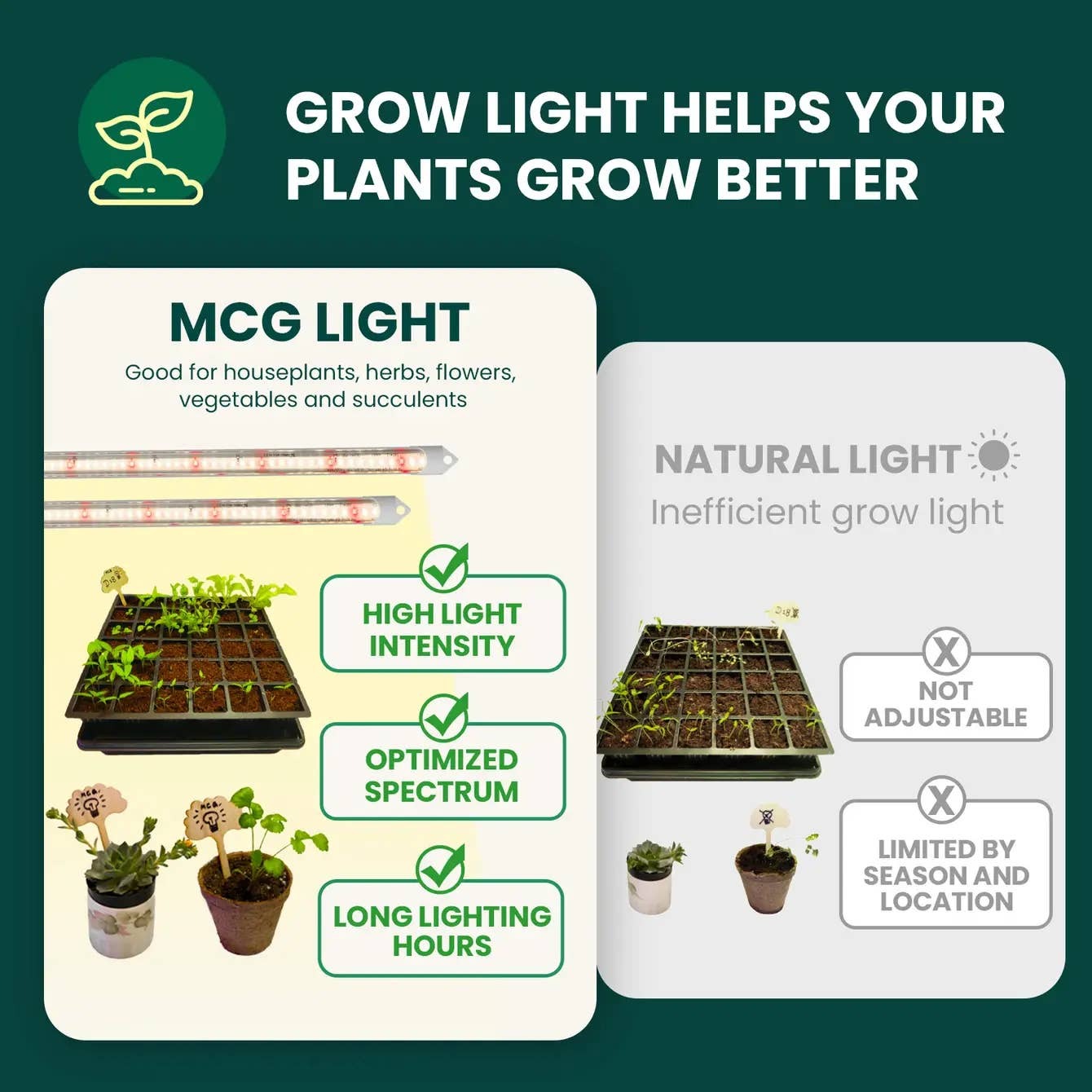 POWER GROW, 2-Foot Seed Starter Light, 5000K, 2-Pack