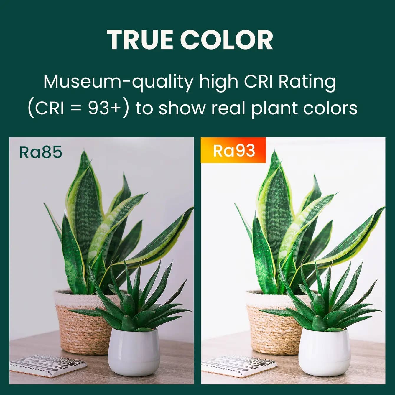 POWER GROW, 2-Foot Seed Starter Light, 5000K, 2-Pack