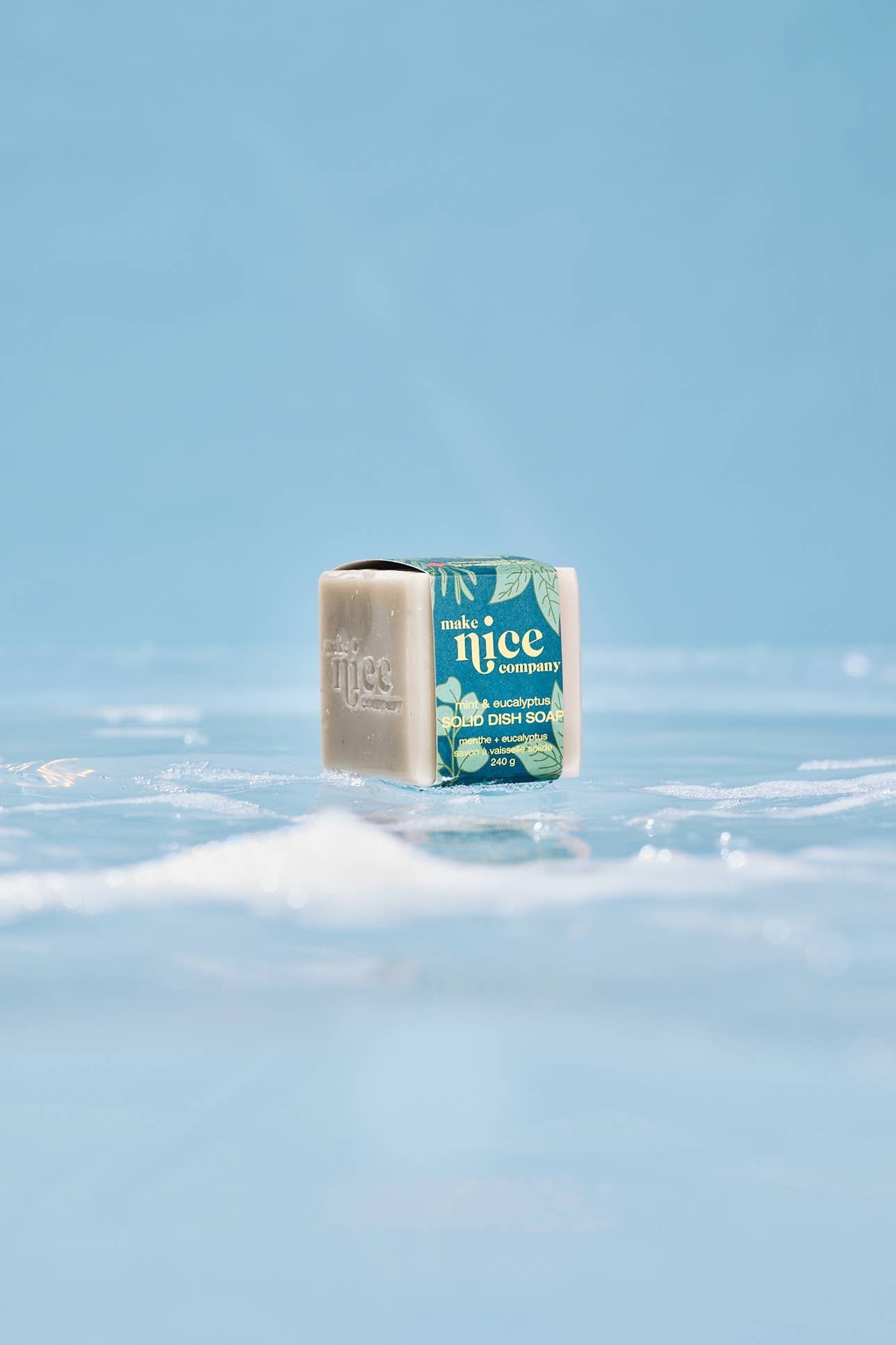 Mint &amp; Eucalyptus Solid Dish Soap