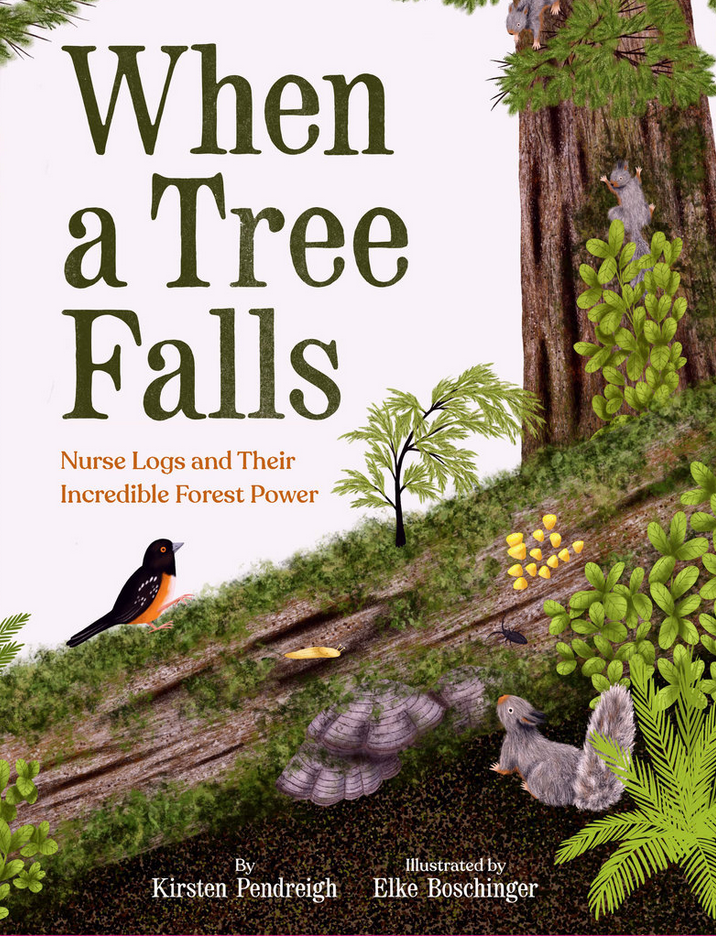 When a Tree Falls - Nurse Logs and Their Incredible Forest Power