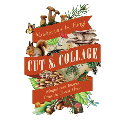 Mushrooms and Fungi - cut and collage