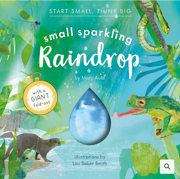 Small Sparkling Raindrop (Start Small, Think Big #5)