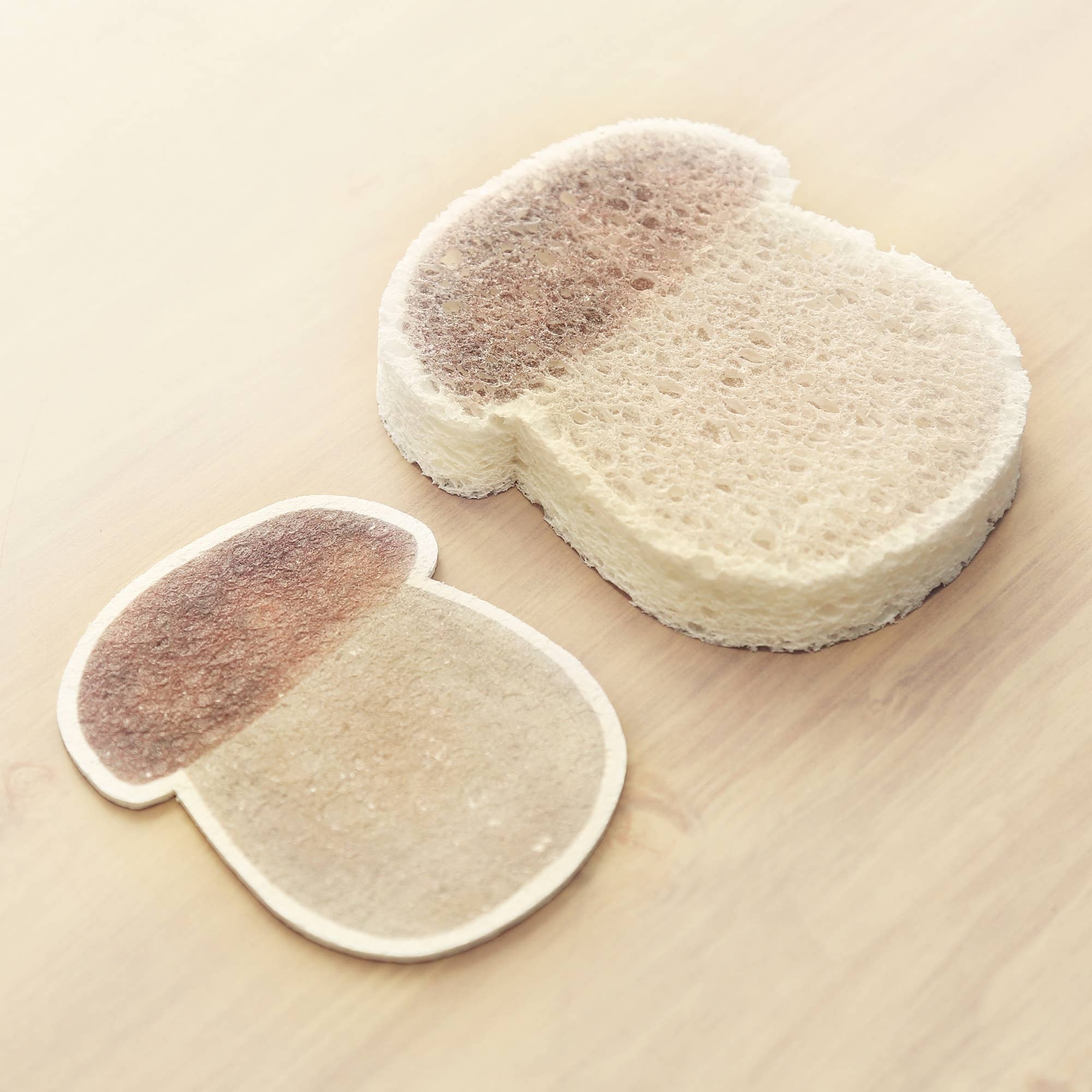 Mushroom Pop-Up Sponge