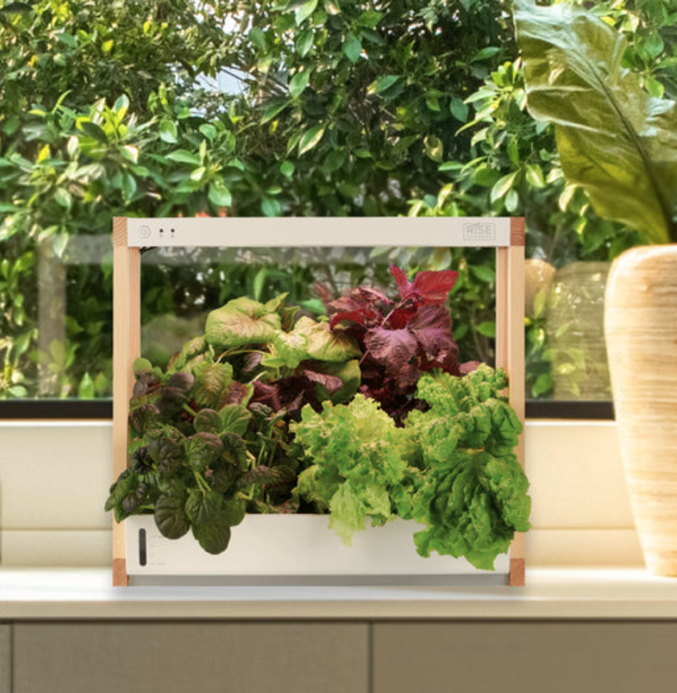 Rise Garden